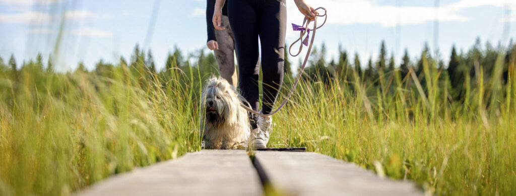 Pitkospuilla Keminmaa